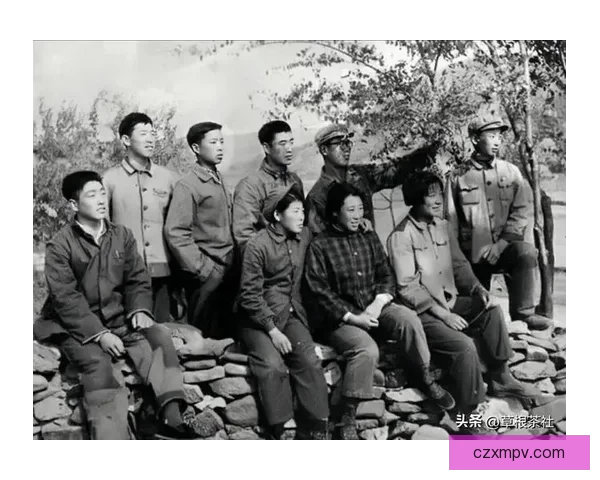 三代同上山下乡插队经历带来的家庭温度与乡村记忆田野的岁月里